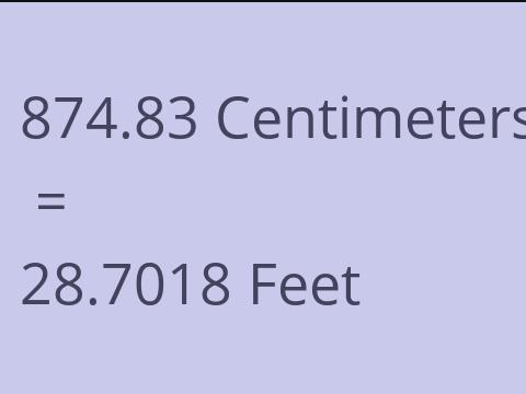 874.83 CM TO FEET