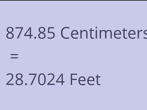 874.85 CM TO FEET