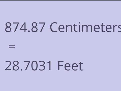 874.87 CM TO FEET