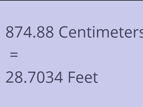 874.88 CM TO FEET