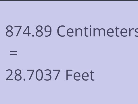 874.89 CM TO FEET