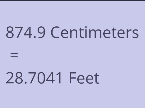 874.9 CM TO FEET