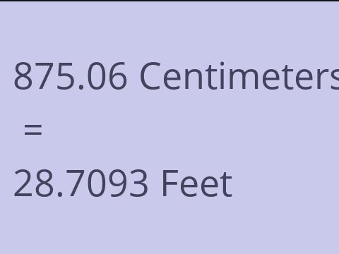 875.06 CM TO FEET