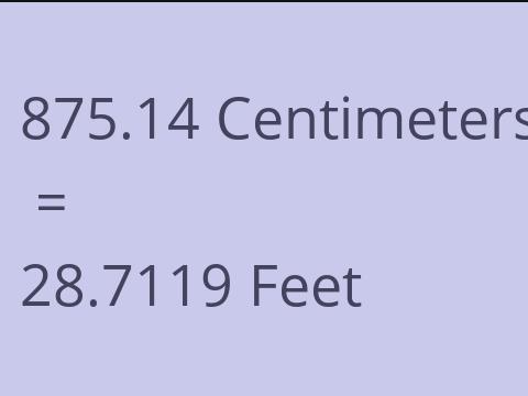 875.14 CM TO FEET