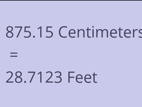 875.15 CM TO FEET