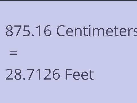 875.16 CM TO FEET