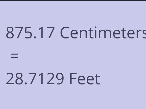 875.17 CM TO FEET