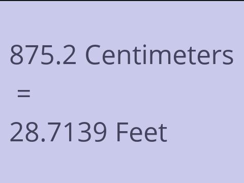 875.2 CM TO FEET