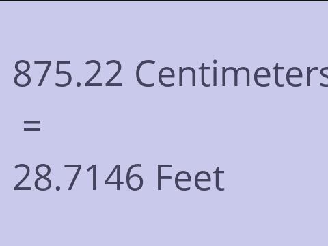 875.22 CM TO FEET