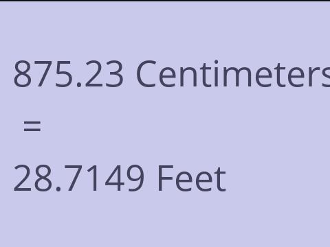 875.23 CM TO FEET