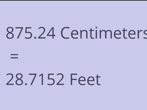 875.24 CM TO FEET