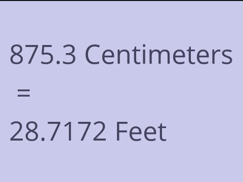 875.3 CM TO FEET