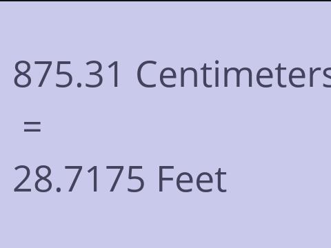 875.31 CM TO FEET