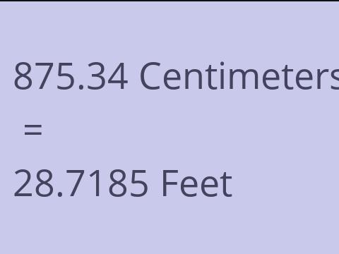 875.34 CM TO FEET