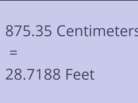 875.35 CM TO FEET