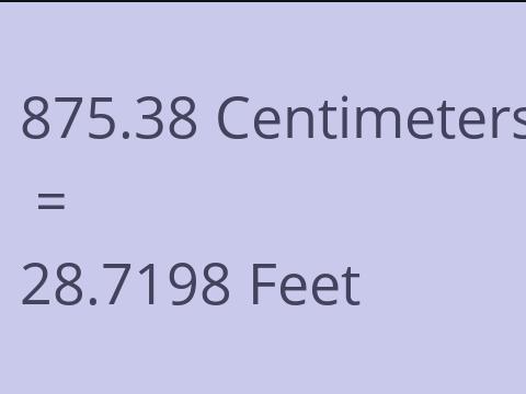 875.38 CM TO FEET