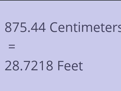 875.44 CM TO FEET