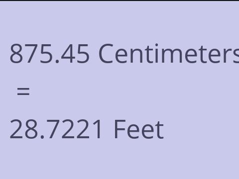 875.45 CM TO FEET