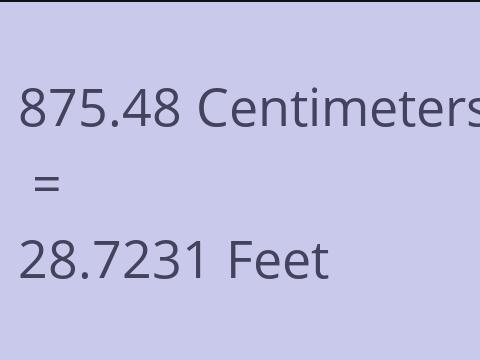 875.48 CM TO FEET