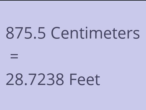 875.5 CM TO FEET