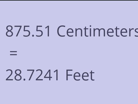 875.51 CM TO FEET