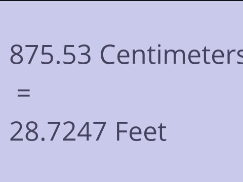 875.53 CM TO FEET