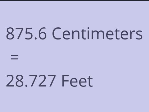 875.6 CM TO FEET