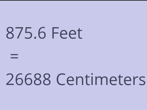 875.6 FEET TO CM