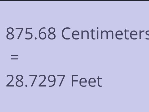 875.68 CM TO FEET