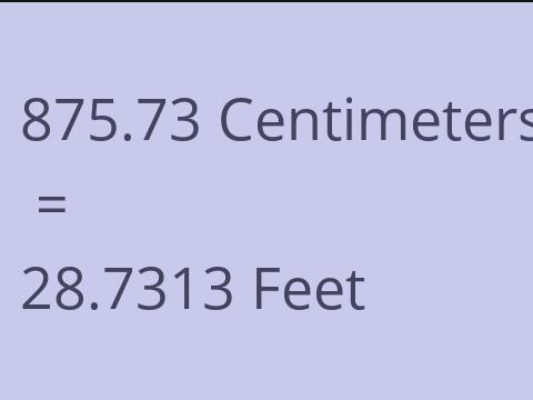 875.73 CM TO FEET