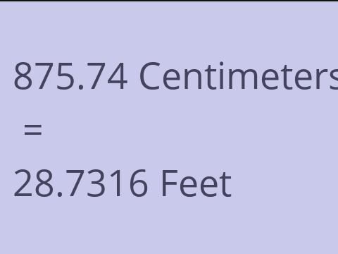 875.74 CM TO FEET