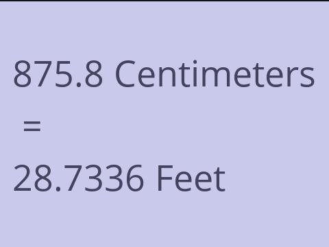 875.8 CM TO FEET