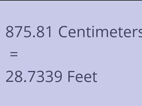 875.81 CM TO FEET