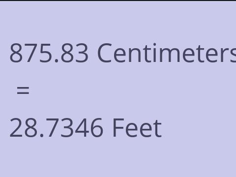 875.83 CM TO FEET