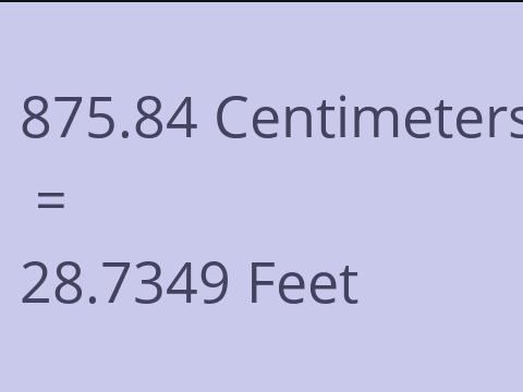 875.84 CM TO FEET