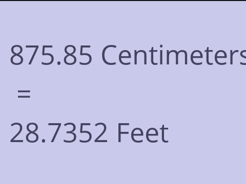 875.85 CM TO FEET