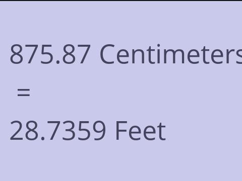 875.87 CM TO FEET