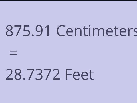 875.91 CM TO FEET