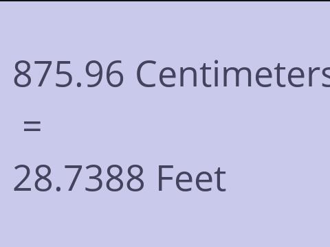 875.96 CM TO FEET