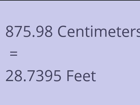 875.98 CM TO FEET