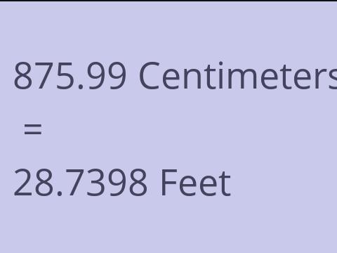 875.99 CM TO FEET