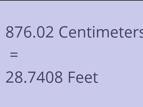 876.02 CM TO FEET