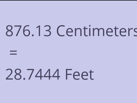 876.13 CM TO FEET