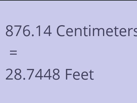 876.14 CM TO FEET