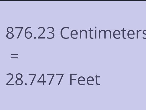 876.23 CM TO FEET