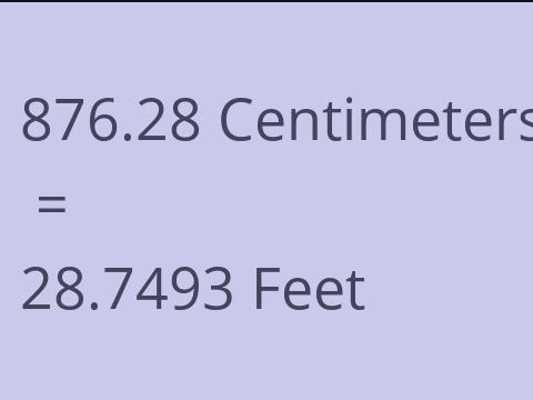 876.28 CM TO FEET