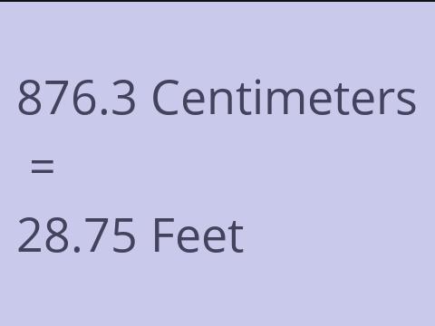 876.3 CM TO FEET