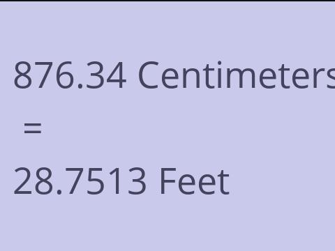 876.34 CM TO FEET