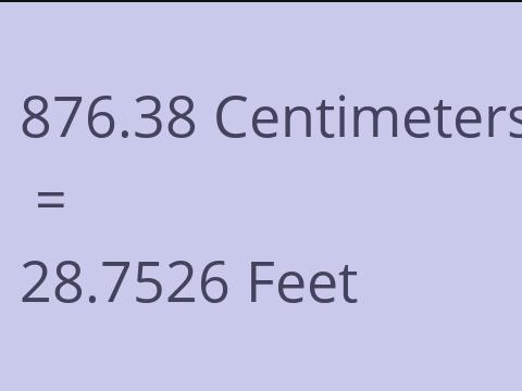 876.38 CM TO FEET