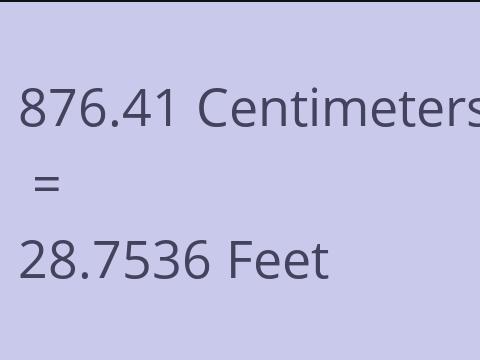 876.41 CM TO FEET